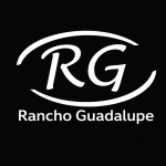 ChatGPT Image 20 feb 2026, 01_09_47 p.m.