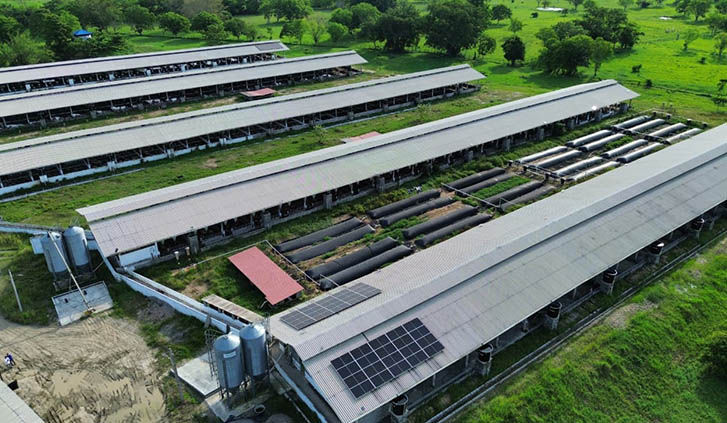 energia solar en finca productiva para el agro en Colombia