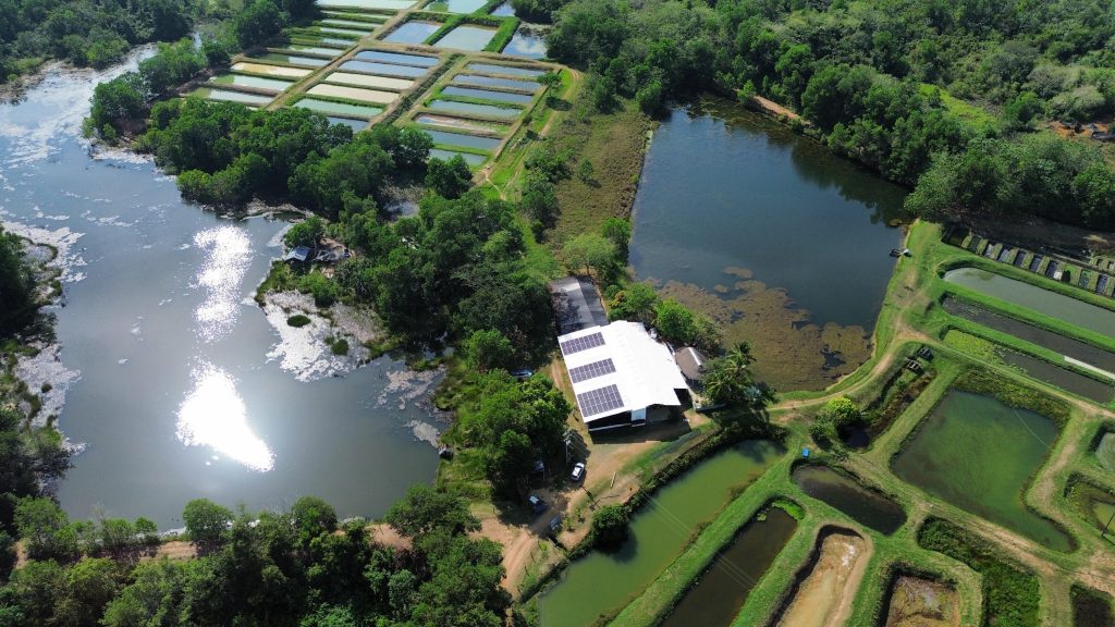 Proyecto energia solar agro Centro Piscícola Santa Cruz
