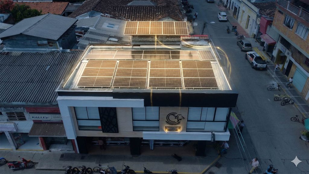 centralcárnica_energía solar